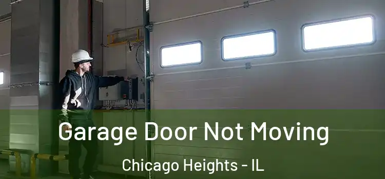  Garage Door Not Moving Chicago Heights - IL