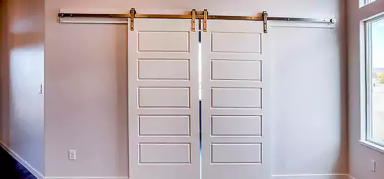 Glass Barn Door with Installation Hardware Kit Chicago Heights