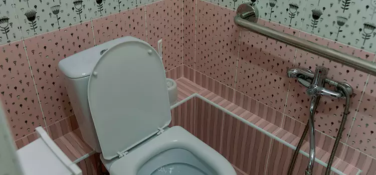 Meeting Diverse Needs With Accessible Restroom Solutions in Chicago Heights, IL