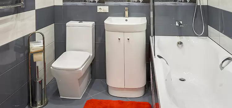 Hansgrohe Shaving Mirror Chicago Heights
